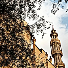 تلاوات متنوعة