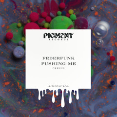 FederFunk - Pushing Me (Original Mix)