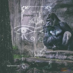 Johann Zu - I'm Here (Extended Mix)