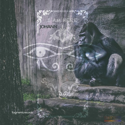Johann Zu - I'm Here (Extended Mix)