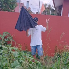 carnaval da panelinha