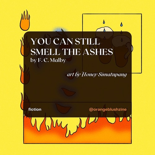 You Can Still Smell The Ashes - Orange Blush Zine