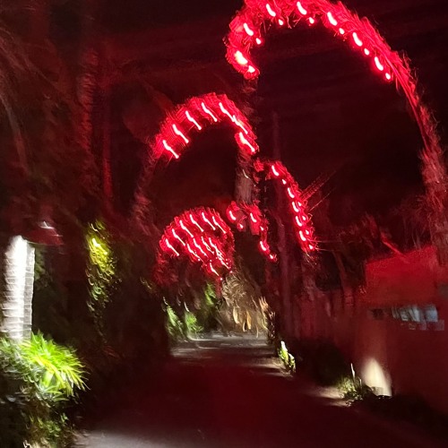 South Side_02 / Nov 2024