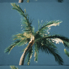 cali flower prod. by Eli Tried… [MUSIC VID IN DESC.]