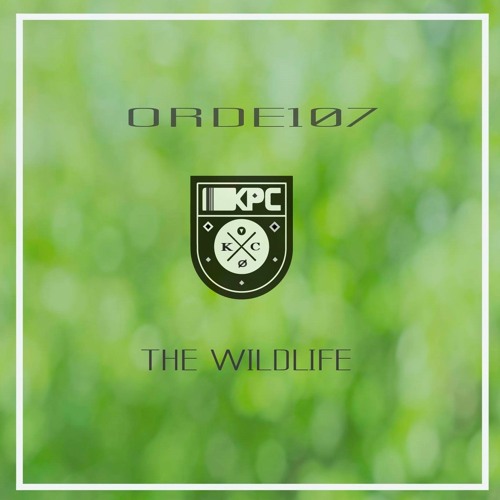 Orde107 - Ode To The Dancing Flies (Original Mix)