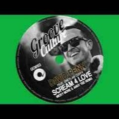 David Penn & Sheylah Cuffy - Scream 4 Love ( Micky More & Andy Tee )