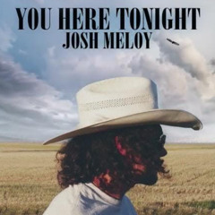 You Here Tonight-Josh Meloy