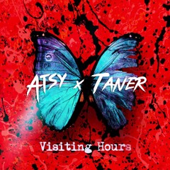 Ed Sheeran - Visiting Hours (ATSY X Taner Remix) *BUY = DOWNLOAD*