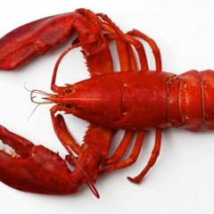 Rock Lobster Trap Beat