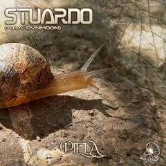 Stuardo - Piela