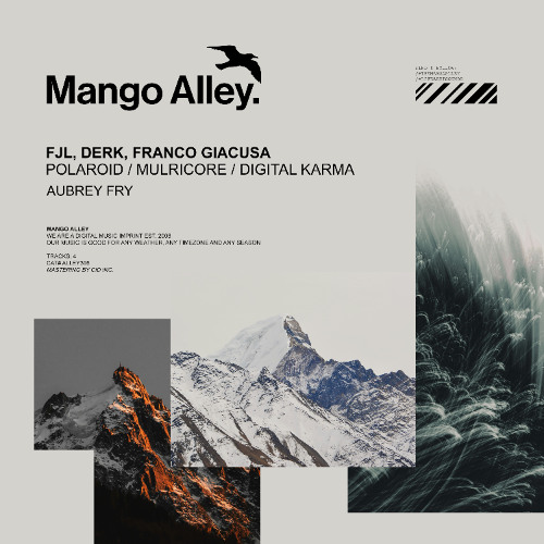 Premiere: FJL - Multicore [Mango Alley]
