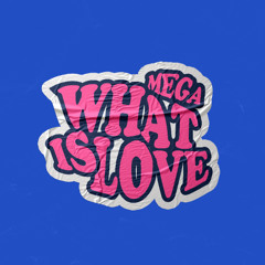 MEGA WHAT IS LOVE