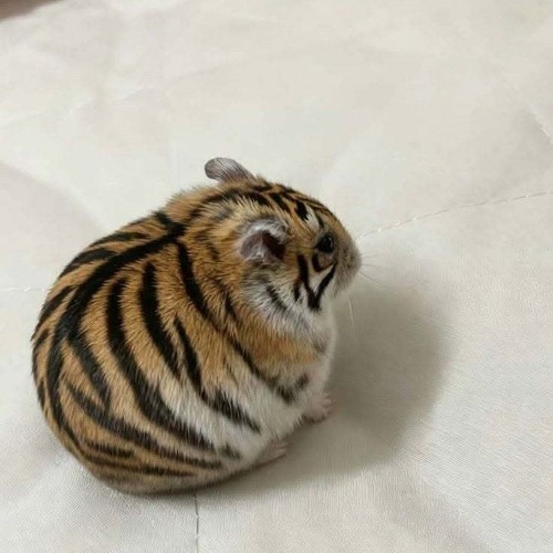 20. Everything Changes