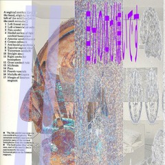 //Motherboard