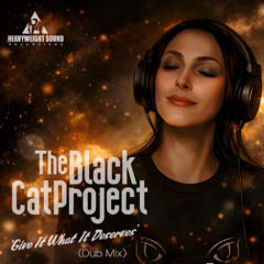 THE BLACK CAT PROJECT - 'GIVE IT WHAT IT DESERVES' (DUB MIX)
