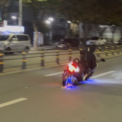 흔들어재끼는플리