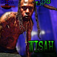 RobLe  WISAH