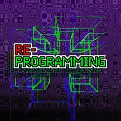 RE-Programming