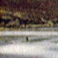 Non Human Technology