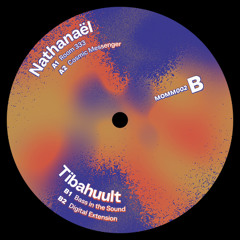 Premiere : Tibahuult - Bass In The Sound (MOMM02)
