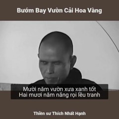 Bướm bay vườn cải hoa vàng Thiền sư Thích Nhất Hạnh