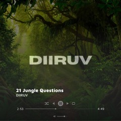 21 Jungle Questions (Jungle DnB Edit)
