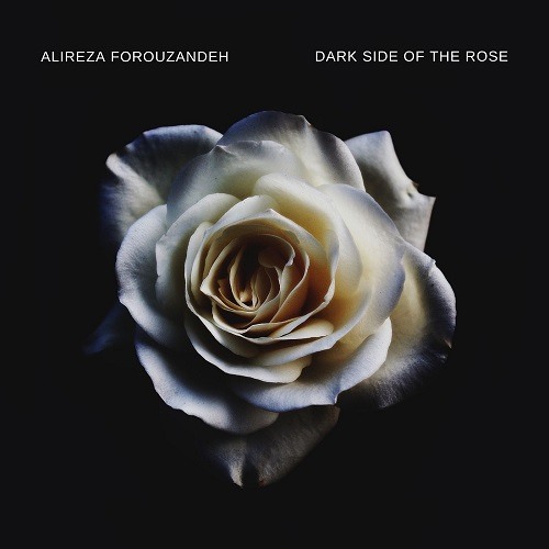 Stream Dark Side Of The Rose - Sad Beat Hip Hop Instrumental by Alireza  Forouzandeh | Listen online for free on SoundCloud