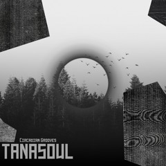 Tanasoul - Circadian Grooves