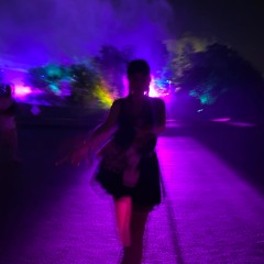 Svealicious Partyhitmix 2.0