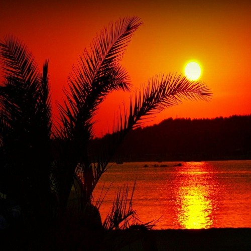 /// Blame it on da Summer (528 Hz) [Hip-Hop/Trap RemiX]「DJ SonicFreak」