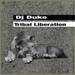 Tribal Journey (Sun Mix)