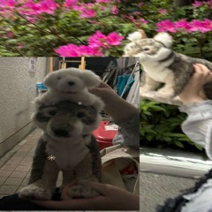 change threedimensionsapart