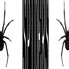 SPIDERS
