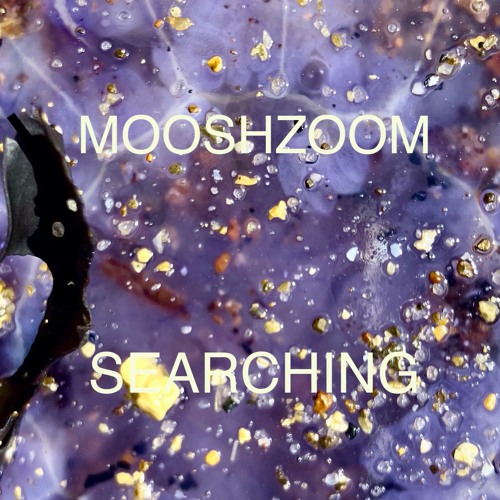 Searching
