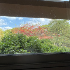 Some other day (cover) - MD