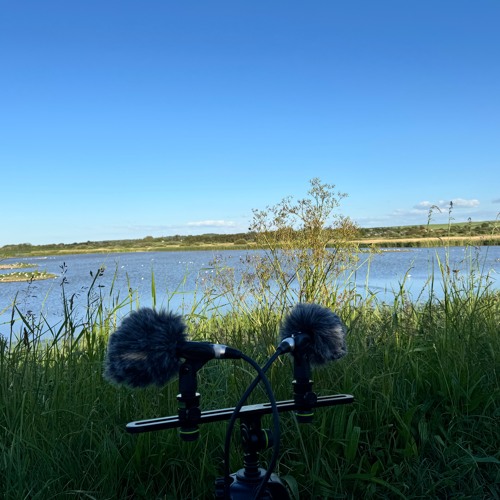 Titchwell Marsh  - Lagoon 1 - Line Audio CM4