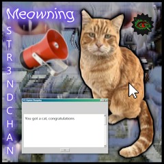 Meowning (BRAINROT!!!)