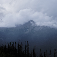 Foehn