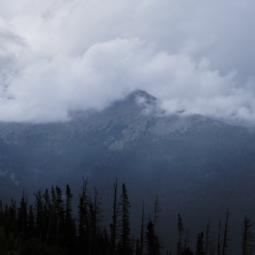 Foehn