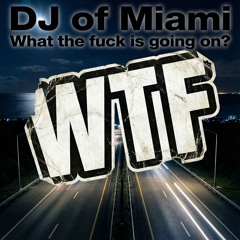 What The Fuck (Ibiza Party Edit)