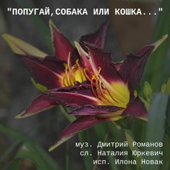 детская песня "Попугай, собака или кошка..." (сл. Наталия Юркевич)