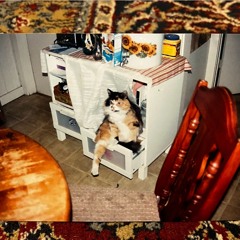 you didnt have to be so nice