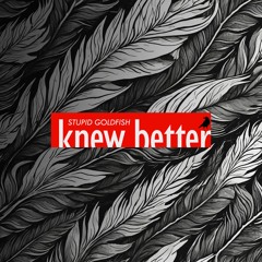 Stupid Goldfish - Knew Better