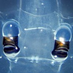 webcore beats to study/game/party to