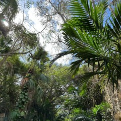 you're not it (prod. siem spark x warheart)