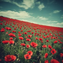 Field Of Red