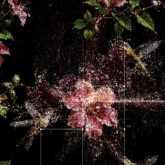 DEATHBED ⋆ amanda allen