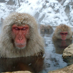 #IDONTCAREABOUTTHEMONEYICAREABOUTTHEHACKS