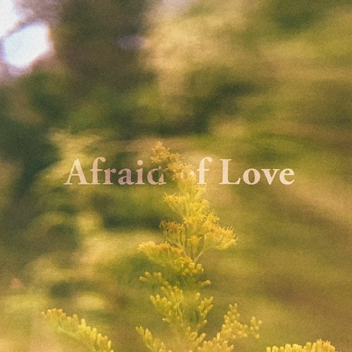 Afraid of Love