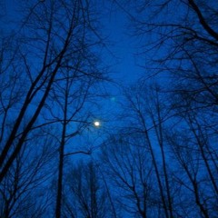 CALL FT. THE10THLETTER (PROD. LICK OWENS)